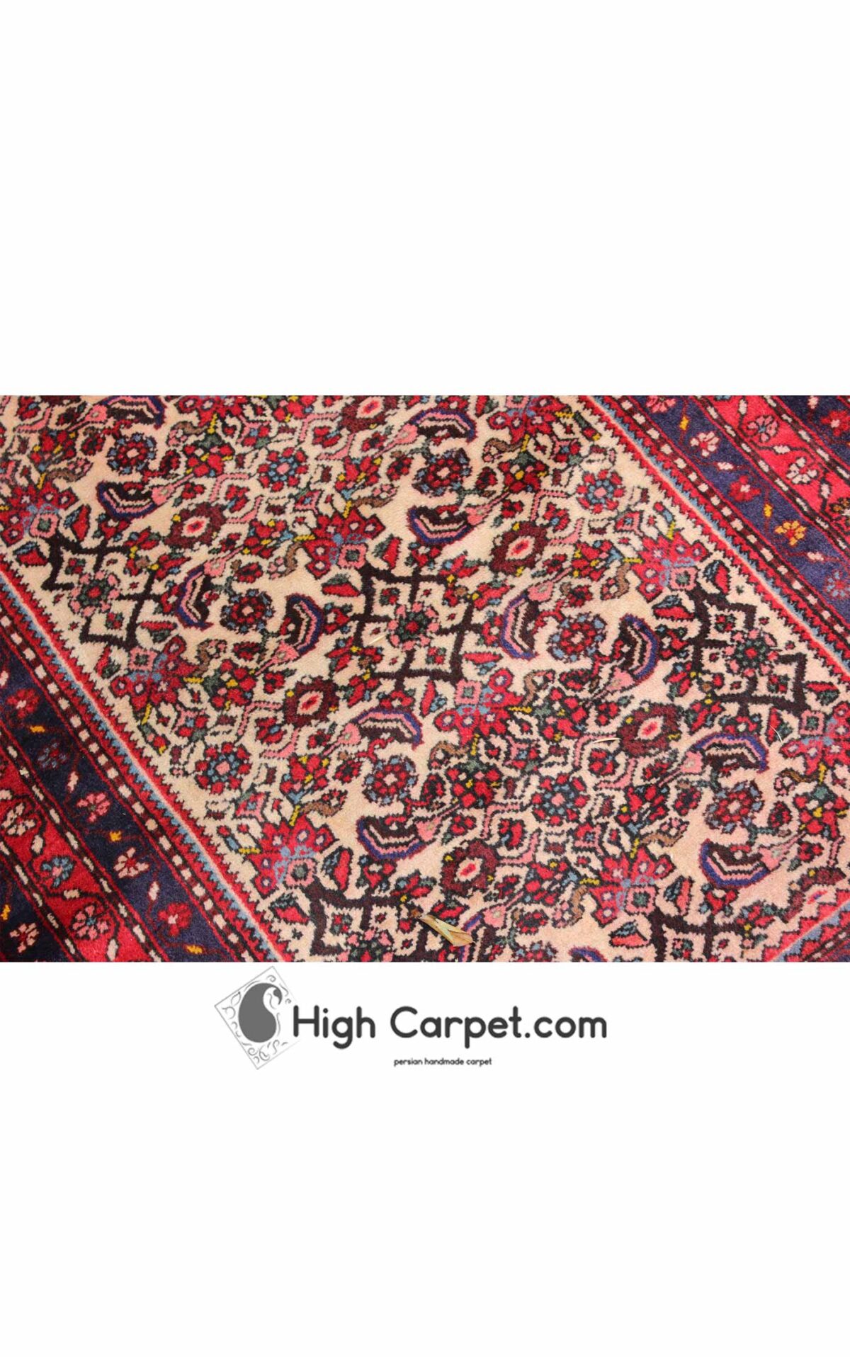 پادری رودبار کرم کد030986 - Image 3