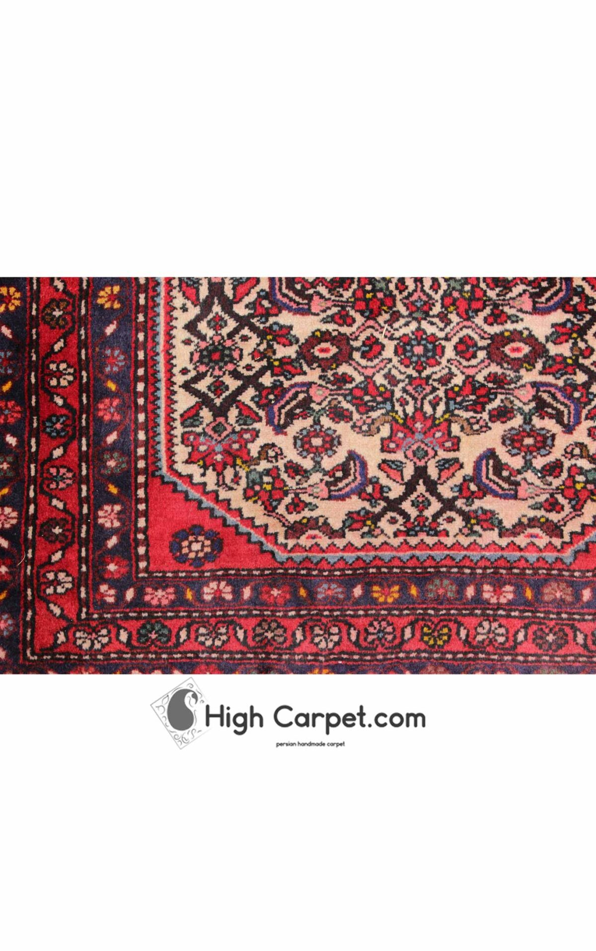 پادری رودبار کرم کد030986 - Image 4