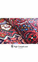 زرع و نیم زنجان کد 010621 - Image 5